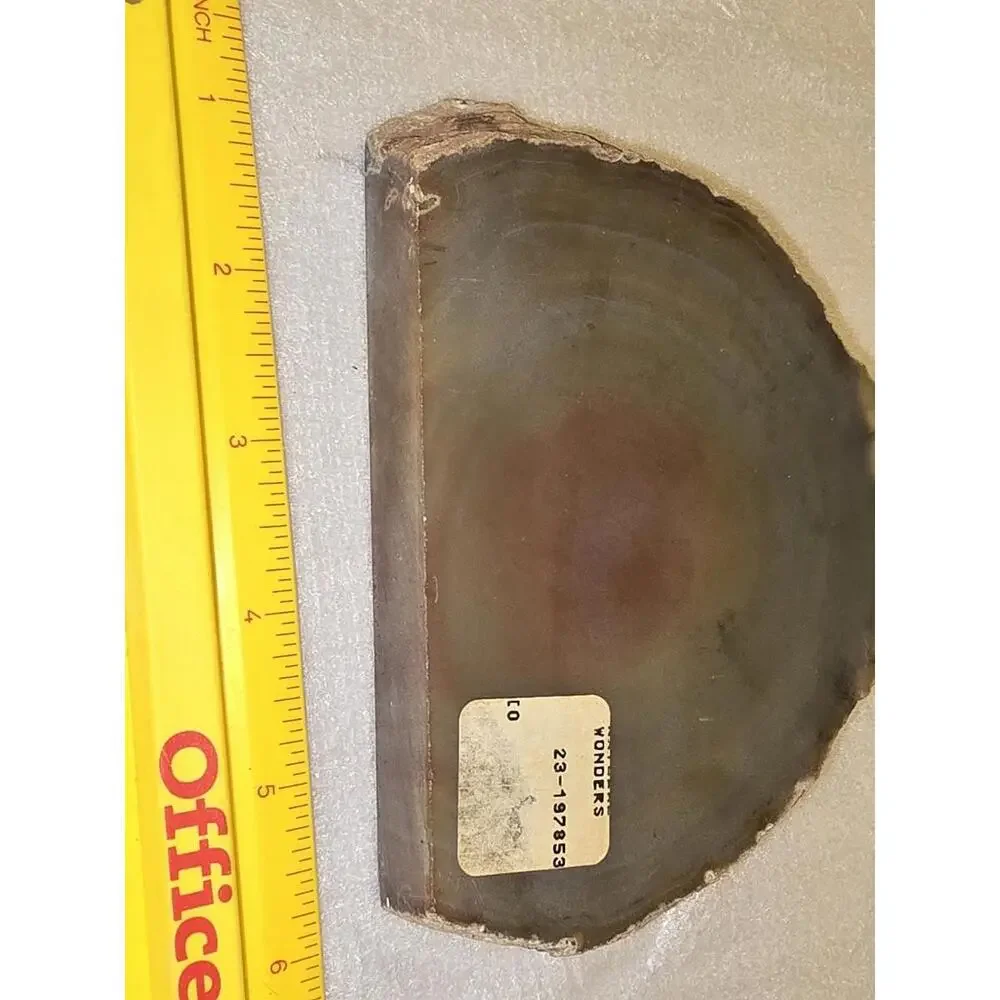 Large Natural Slice Agate Polished North Shore Round Geode 5" - Picture 2 of 3